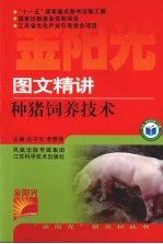 图文精讲种猪饲养技术