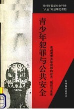 青少年犯罪与公共安全 贵州省青少年犯罪的过去、现在与未来
