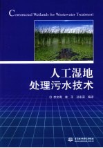 人工湿地处理污水技术