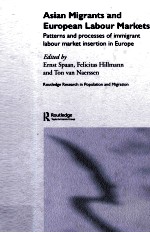 Asian Migrants and European Labour Markets:Patterns and processes of immigrant labour market inserti