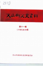 文山州文史资料 第11辑 少数民族专辑