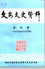 文安文史资料 第7辑 1963年抗洪斗争专辑