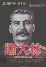 二战风云人物丛书 斯大林 下