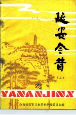 延安今昔 上