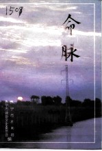 命脉:水利建设专辑