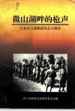 微山湖畔的枪声:纪念抗日战争胜利五十周年