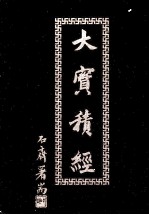 大宝积经 5