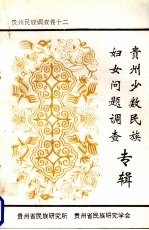 贵州少数民族妇女问题 贵州民族调查卷 12