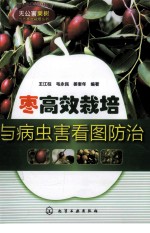 枣高效栽培与病虫害看图防治