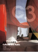 建筑立场系列丛书 文化与公共建筑 汉英对照