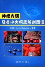 神经内镜经鼻中央颅底解剖图谱