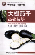 大棚茄子高效栽培