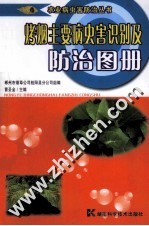 烤烟主要病虫害识别及防治图册