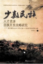 少数民族人才资源因族开发战略研究 理论建构及对红河哈尼族人才资源开发的实证分析