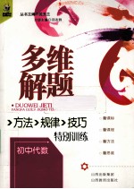 多维解题方法规律技巧特别训练 初中代数