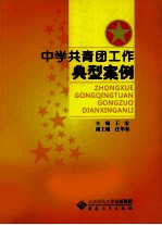 中学共青团工作典型案例