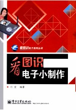 看图识电子小制作