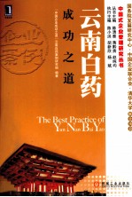 云南白药成功之道