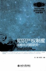 知识产权制度战略化问题研究