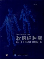 Enzinger Weiss软组织肿瘤 第5版
