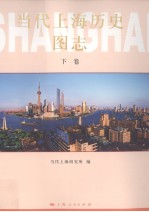 当代上海历史图志 下