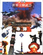 世界王牌武器百科图典 第6卷 导弹 彩图版