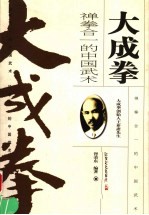 大成拳 禅拳合一的中国武术