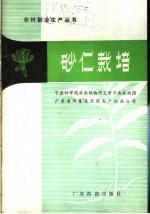 砂仁栽培