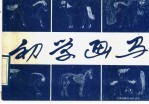 初学画马