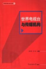 世界电视台与传媒机构