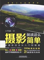 摄影就该这么简单 新摄影技法从入门到精通