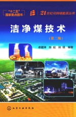 21世纪可持续能源丛书 洁净煤技术