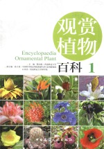 观赏植物百科 1