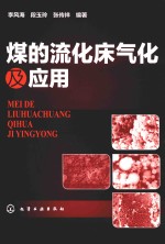 煤的流化床气化及应用