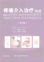 疼痛介入治疗图谱 第3版