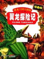 恐龙王国大探险 翼龙探险记