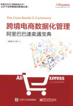 跨境电商数据化管理 阿里巴巴速卖通宝典