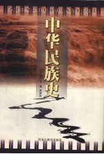 中华民族史 下