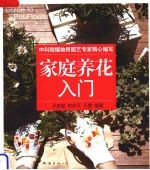 家庭养花入门