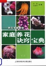 家庭养花诀窍宝典 养花专家解密