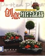 创意组合盆栽