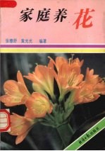 家庭养花
