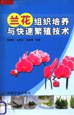 兰花组织培养与快速繁殖技术