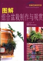 图解组合盆栽制作与观赏