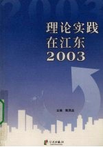 理论实践在江东 2003