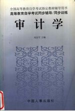 高等教育自学考试同步辅导/同步训练 审计学