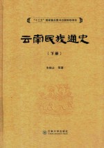 云南民族通史 下
