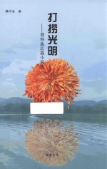 打捞光明 谭仲池长篇小说选