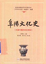 阜阳文化史 史前至魏晋南北朝卷