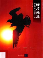 碎片光泽摄影创意与创新之旅